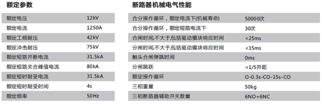 IDM-12/Y1250-31.5（150相间）技术参数